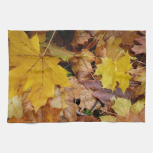 Linge De Cuisine Feuilles de Érable Tombées Jaune Automne Nature