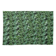 Feuilles de Tora verte