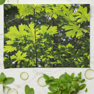 Linge De Cuisine Feuilles Mouchetées de Soleil dans la Forêt