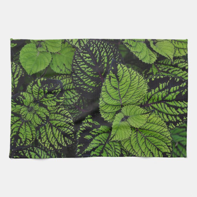Linge De Cuisine Feuilles tropicaux verts (Horizontal)