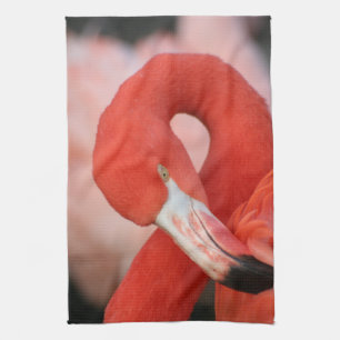 Linge De Cuisine Flamant rose 001