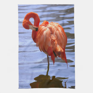 Linge De Cuisine Flamant sur une jambe dans l'eau