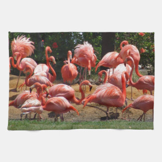 Linge De Cuisine Flamants roses roses