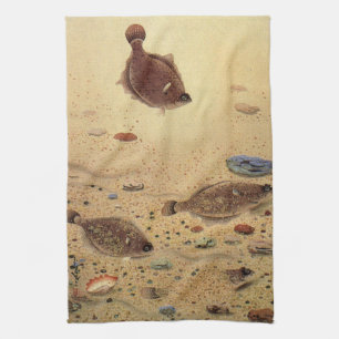 Linge De Cuisine Flets ou poissons plats, vie marine océanique vint