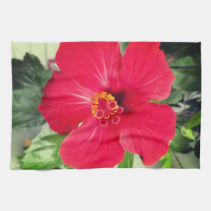 Linge De Cuisine Fleur rouge de Hibiscus Rosa-sinensis