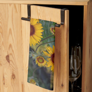 Linge De Cuisine Fleurs de soleil orange, Fleur rayante et joyeuse