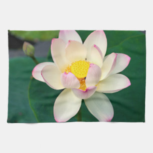 Linge De Cuisine Fleurs Lotus Water Flower