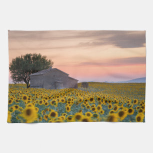 Linge De Cuisine Fleurs   Sunflower Field Provence, France