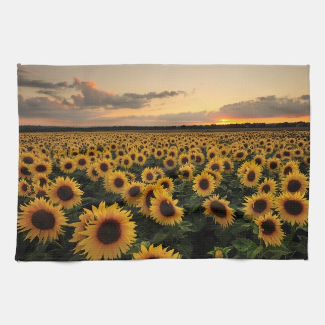 Linge De Cuisine Fleurs | Terrain de tournesol (Horizontal)