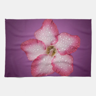 Linge De Cuisine Flore rose Adenium Violet rayé