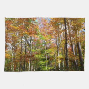 Linge De Cuisine Forêt d'automne II Photographie de paysage automna