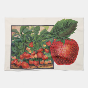 Linge De Cuisine Fraises anciennes, plants de fraises dans une ferm