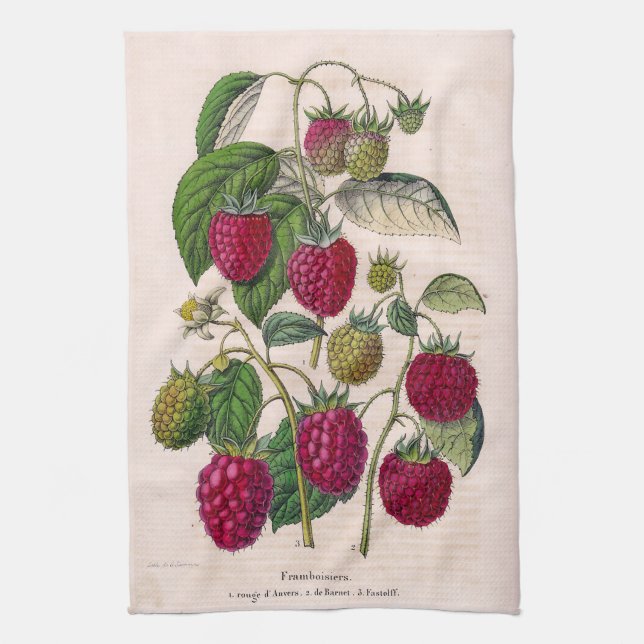 Linge De Cuisine Framboises (Vertical)