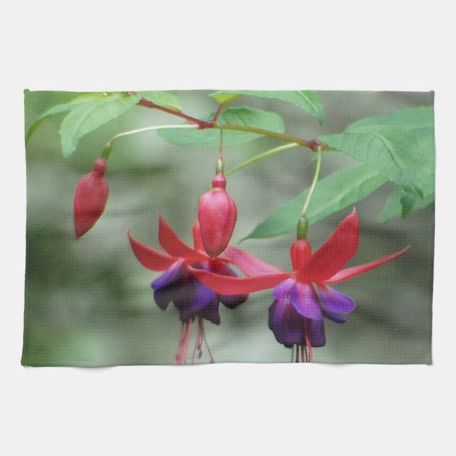 Linge De Cuisine Fuschia1A.jpg (Horizontal)