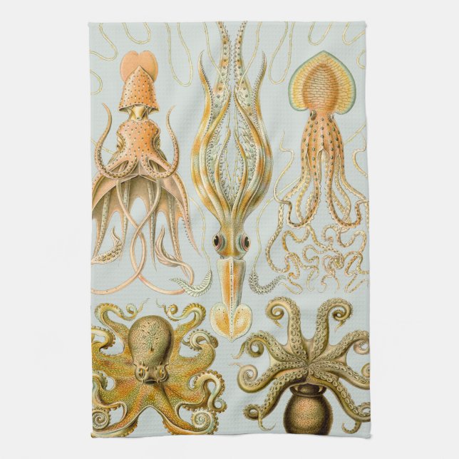 Linge De Cuisine Gamochonia d'Ernst Haeckel (Vertical)