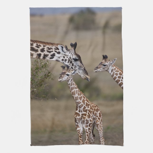 Linge De Cuisine Giraffe Masaï (Giraffe Tippelskirchi) (Vertical)