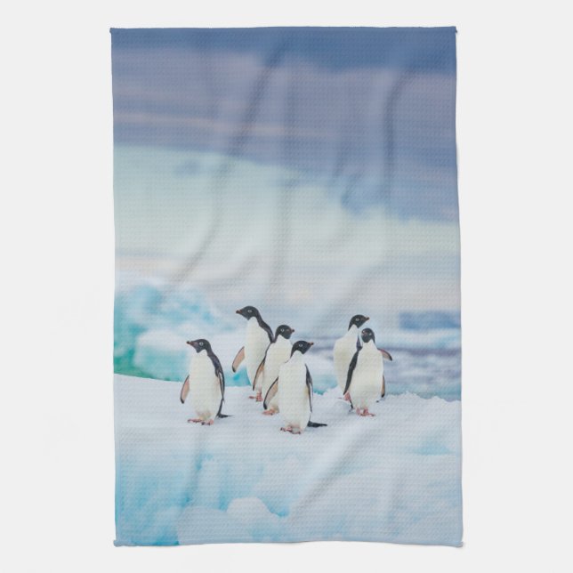 Linge De Cuisine Glace et neige | Adelie Penguins Antarctique (Vertical)