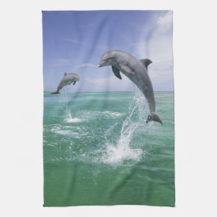 Linge De Cuisine Grands dauphins Tursiops truncatus