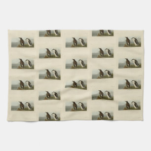 Linge De Cuisine Guillemot à bec mince, Audubon Birds of America
