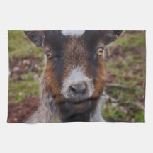 Haut étroit de chèvre