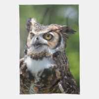 Hibou à cornes