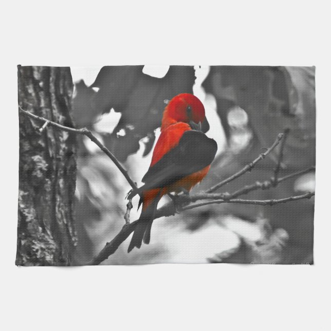 Linge De Cuisine Homme Scarlet Tanager (Horizontal)