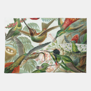 Linge De Cuisine Humming Birds Paradise Art