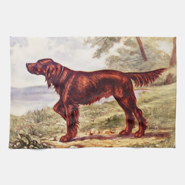 Linge De Cuisine Illustration 1900 de poseur irlandais de chien (Horizontal)