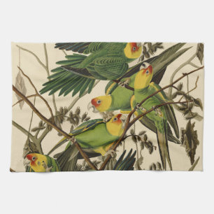 Linge De Cuisine Illustration Audubon Carolina Parrot Bird
