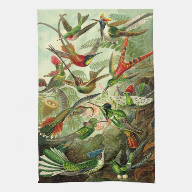 Linge De Cuisine Illustration de colibri d'Ernst Haeckel (Vertical)