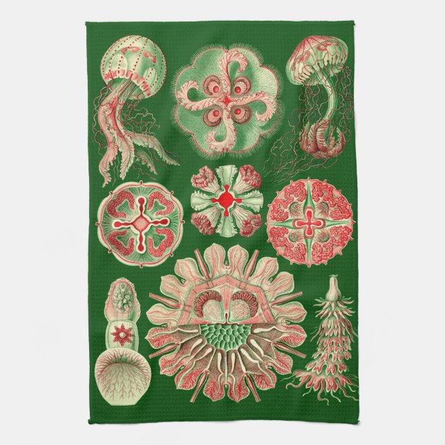Linge De Cuisine Illustration marine de méduses de Haeckel rouge et (Vertical)