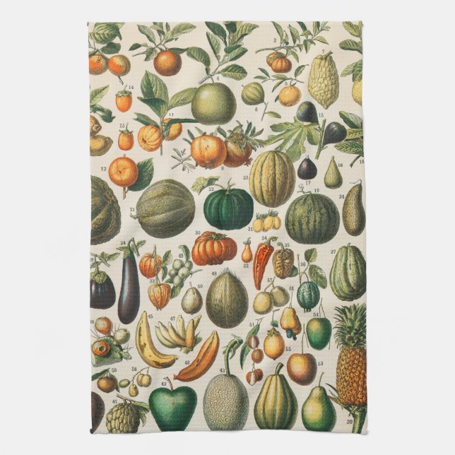 Linge De Cuisine Illustration scientifique végétale des fruits (Vertical)