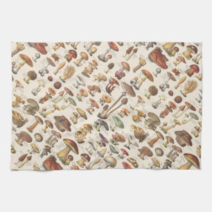 Linge De Cuisine Illustration vintage des champignons