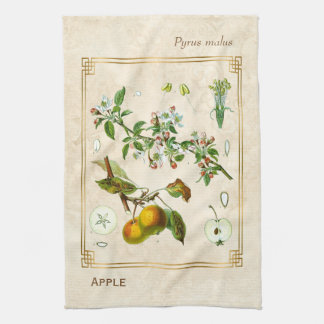 Linge De Cuisine Illustration Vintage Florale botanique de fruits d