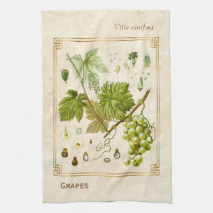 Linge De Cuisine Illustration Vintage Fruit de raisin vert Botaniqu