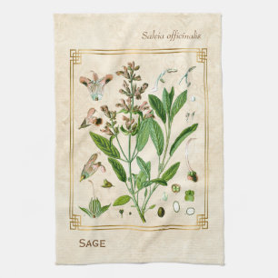 Linge De Cuisine Illustration Vintage Herbe Plante Sage Botanical A