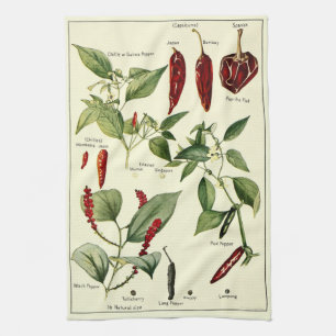 Linge De Cuisine Illustrations botaniques vintage Chili Peppers