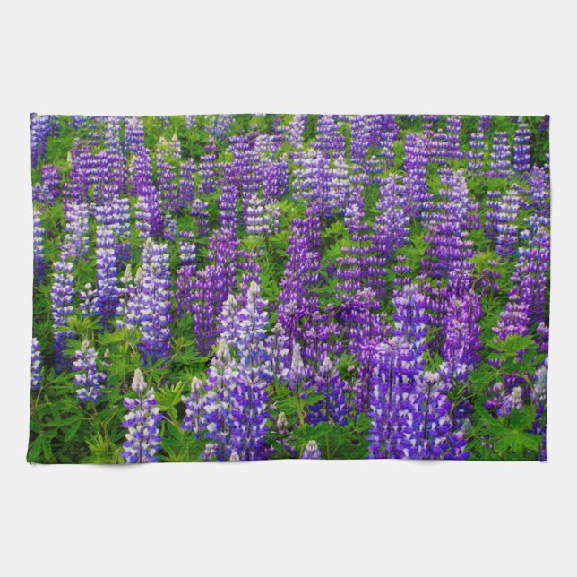 Linge De Cuisine Islande. Vik i Myrdal. Champ de Lupines (Horizontal)