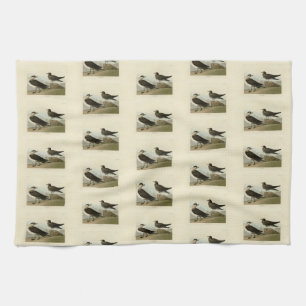 Linge De Cuisine Jager de Richardson de Audubon's Birds of America