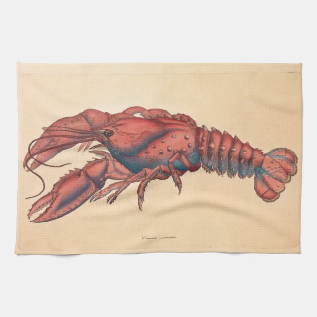 Linge De Cuisine James Sowerby Homard serbé (Horizontal)