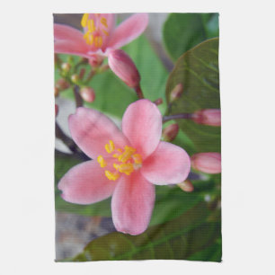 Linge De Cuisine Jatropha Fleur et bourgeons de fleurs