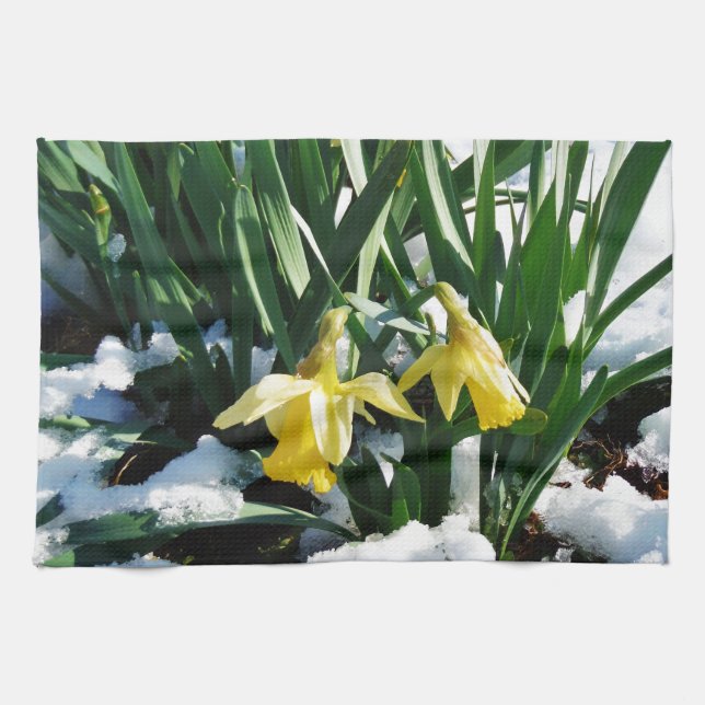 Linge De Cuisine Jaune Daffodils fleurs dans la neige (Horizontal)