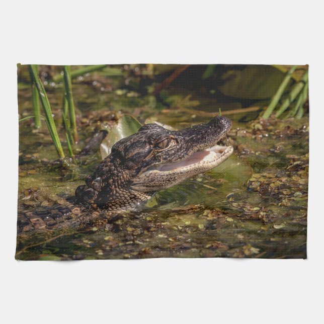 Linge De Cuisine Jeune Alligator (Horizontal)