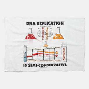 Linge De Cuisine La reproduction d'ADN est Semi-Conservatrice