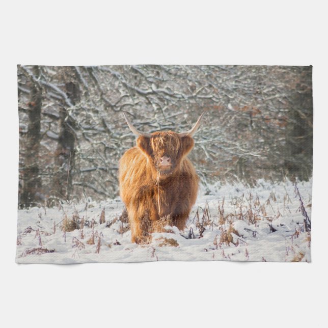 Linge De Cuisine La vache écossaise des Highlands dans la neige (Horizontal)