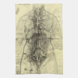 Linge De Cuisine L'anatomie humaine de Léonard de Vinci, Torse fémi