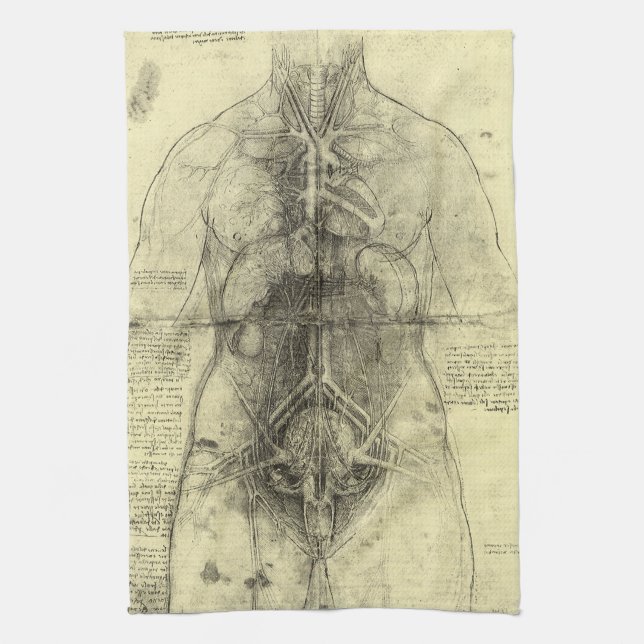 Linge De Cuisine L'anatomie humaine de Léonard de Vinci, Torse fémi (Vertical)