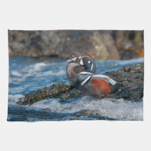 Linge De Cuisine Le Canard arlequin en surf océanique