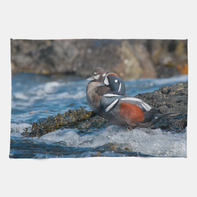 Linge De Cuisine Le Canard arlequin en surf océanique (Horizontal)