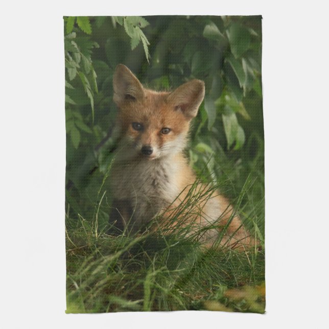 Linge De Cuisine Le chou renard dans une forêt verte (Vertical)